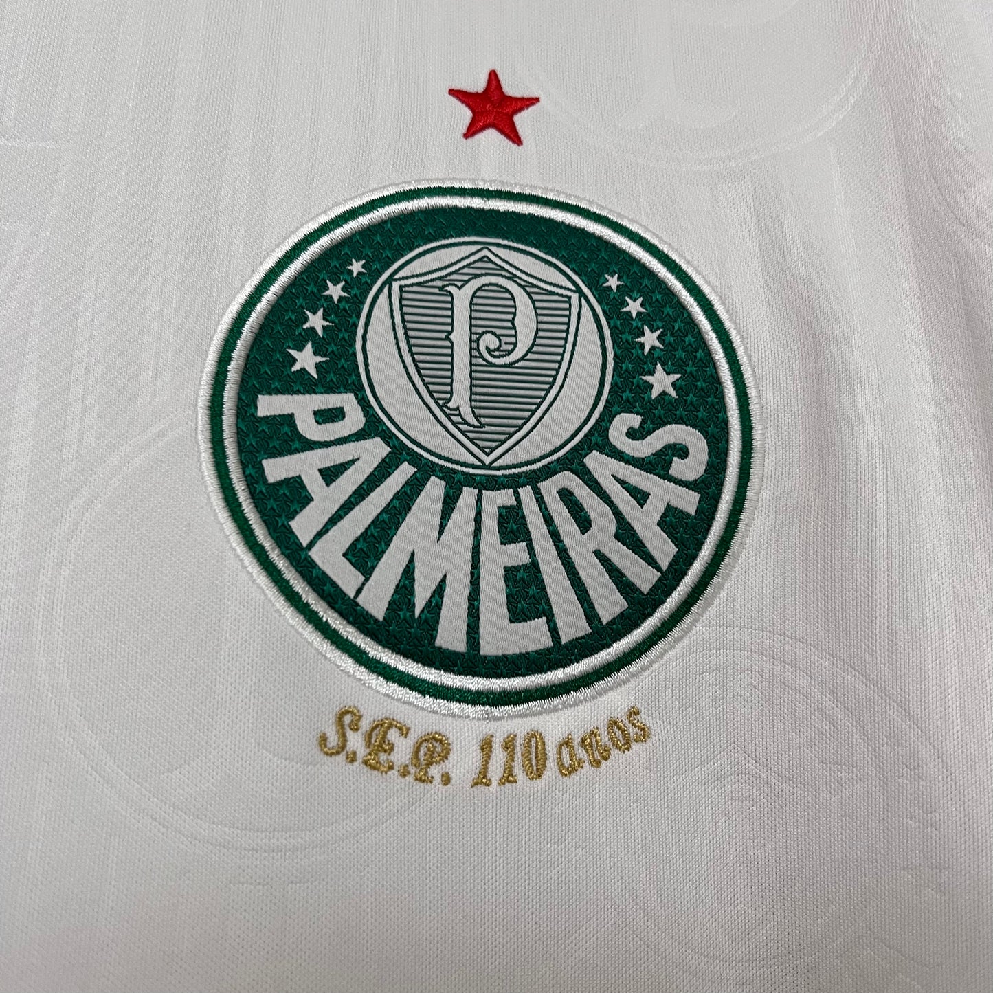 Palmeiras 24/25 Local