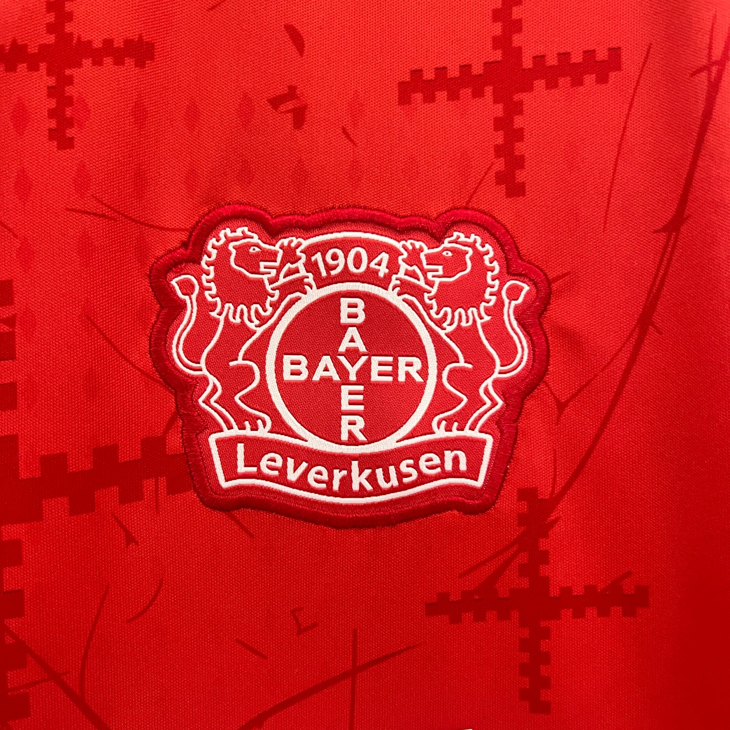 Bayer Leverkusen 24/25 Local