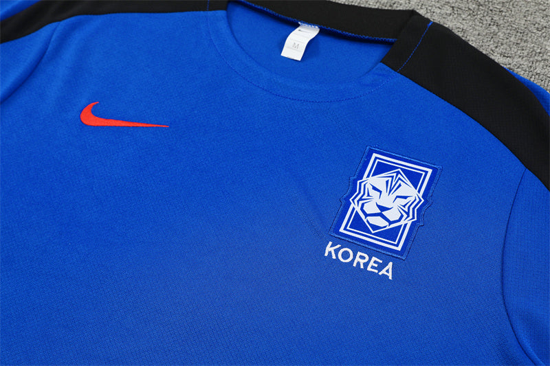 Conjunto entrenamiento Korea